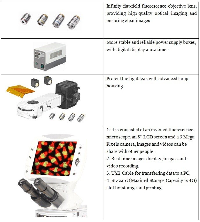 BUM500FLD LCD Upright Fluorescence Microscope
