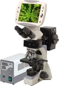 BUM350FLD Upright Fluorescence Microscope with LCD