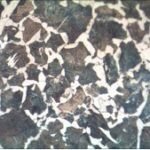 BMU300RF/TRF Metallurgical Upright Reflected/Transmitted BF Microscope
