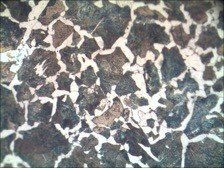 BMU300RF/TRF Metallurgical Upright Reflected/Transmitted BF Microscope