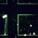 BMU400RF/TRF Upright Metallurgical Reflected/Transmitted BF/DF Microscope