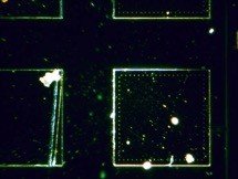 BMU400RF/TRF Upright Metallurgical Reflected/Transmitted BF/DF Microscope