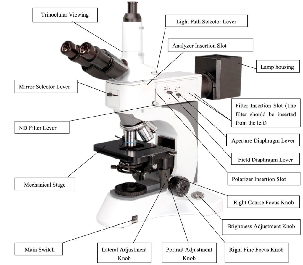 BMU500 Metallurgical Upright Reflected/Transmitted BF/DF/Pol Microscope with 50x-1000x Magnification-10542