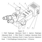 BPM500 Polarizing Transmitted with swing-out condenser -10794