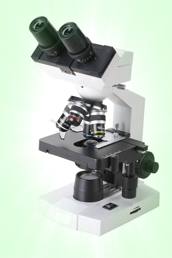 BUM210BD Binocular Digital Head
