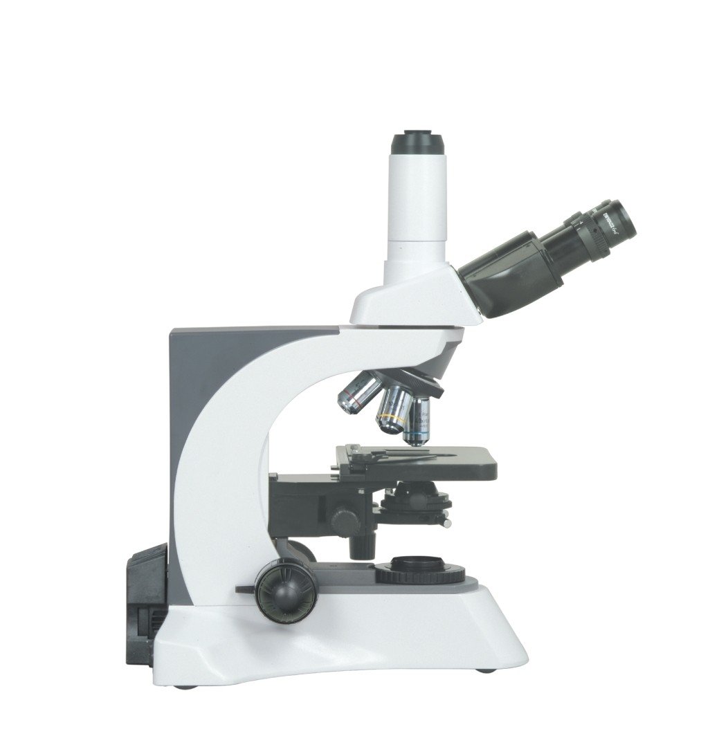 BUM500A Fully Motorized Auto-Focus Biological MicroscopeMicroscope