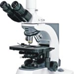 BUM500A Fully Motorized Auto-Focus Biological MicroscopeMicroscope