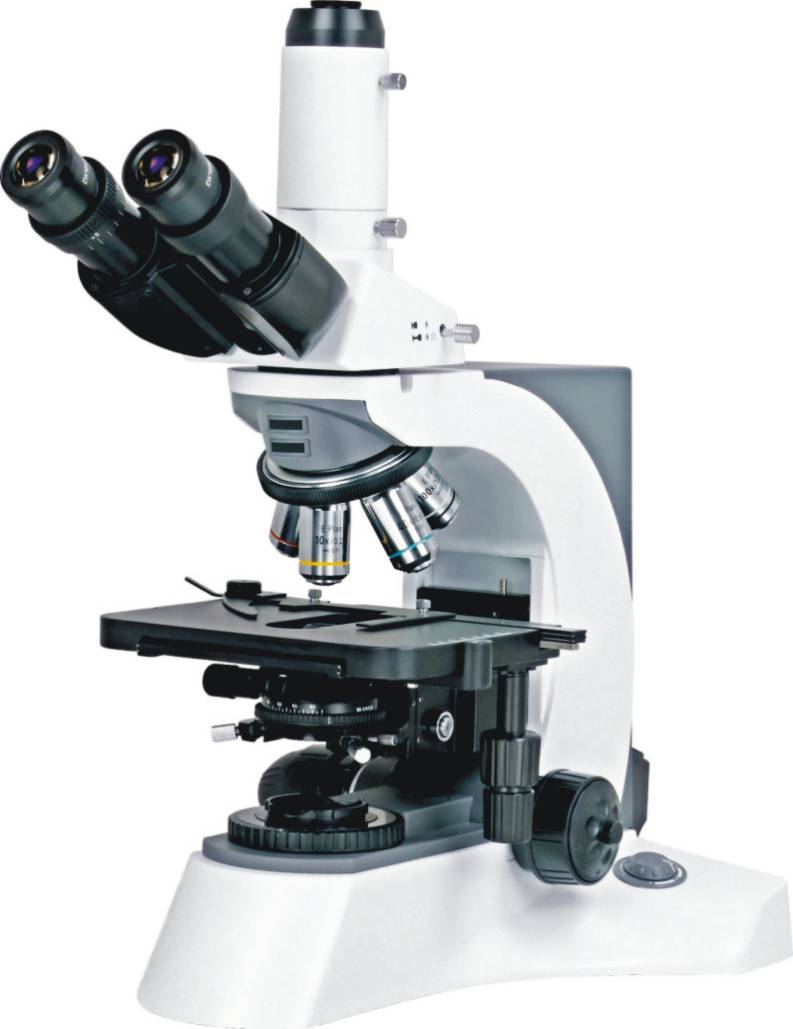 BUM500A Fully Motorized Auto-Focus Biological MicroscopeMicroscope