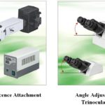 BUM500A Fully Motorized Auto-Focus Biological MicroscopeMicroscope