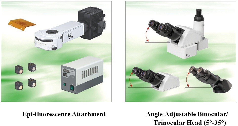 BUM500A Fully Motorized Auto-Focus Biological MicroscopeMicroscope