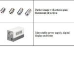 BUM500FLD LCD Upright Fluorescence Microscope