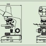 BUM220M/B/T Basic Biological Microscope
