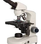 Monocular