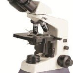 BUM235 Biological Microscope