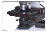 BUM500A Fully Motorized Auto-Focus Biological MicroscopeMicroscope