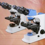BUM290 Series Biological Microscope