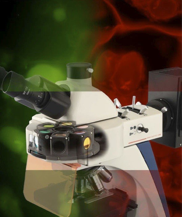 BUM500FLD LCD Upright Fluorescence Microscope