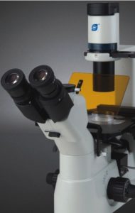BIM900 Inverted Biological Microscope with Koehler Illuminatin