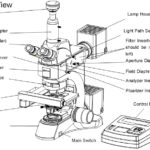 BMU500A Fully Motorized Auto-Focus Metallurgical Microscope-10734