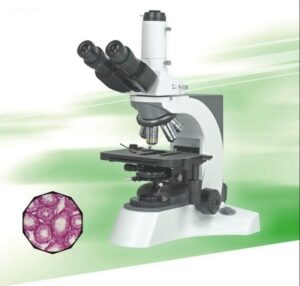 BUM500 Biological Upright Laboratory Microscope