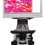 BUM301L LCD Upright Biological Microscope
