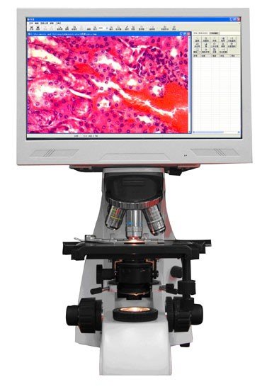 BUM301L LCD Upright Biological Microscope