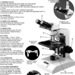 Meiji Techno ML5000 Upright