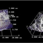Panasis Imaging Software