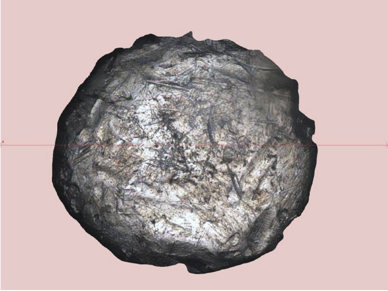 Panasis Imaging Software