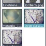 Panasis Imaging Software