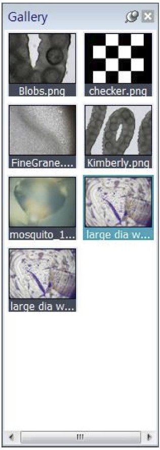 Panasis Imaging Software