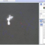 Panasis Imaging Software