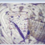 Panasis Imaging Software