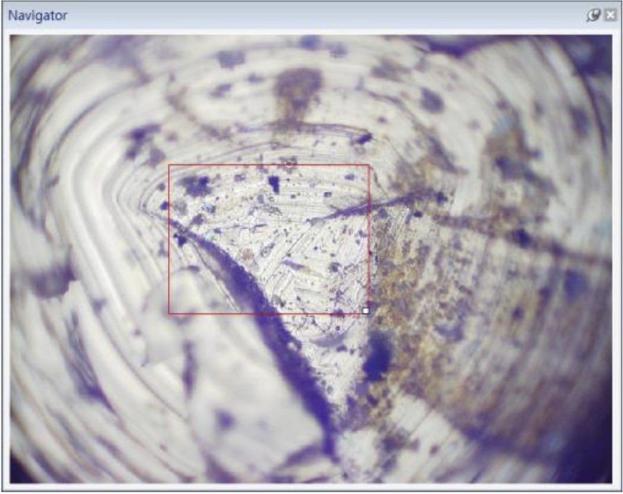 Panasis Imaging Software