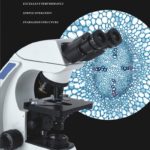 BUM320S Upright Biological Microscope (Zeiss Primo Star Clone)