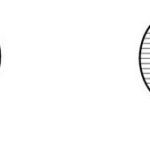 Reticles / Eyepiece Micrometers