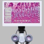 BIM500R Inverted Biological Microscope with Retina Display