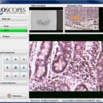 uScope Digital Slide Scanner