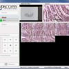 uScope Digital Slide Scanner