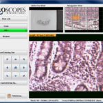 uScope Digital Slide Scanner