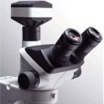 Huvitz HSZ-600 Stereoscope (Olymous SZX61 Clone)