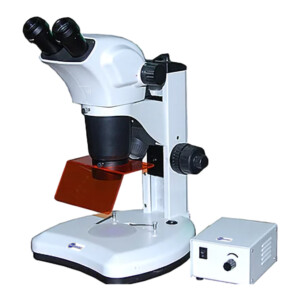 BSM300FLL LED Epi-Fluorescence Stereo Microscope