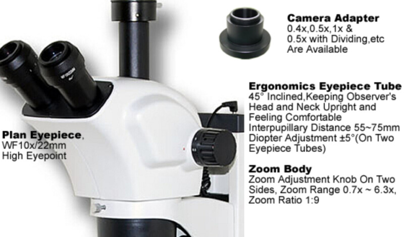BSM300FLL LED Epi-Fluorescence Stereo Microscope
