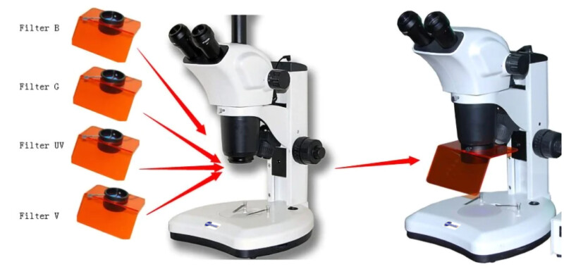 BSM300FLL LED Epi-Fluorescence Stereo Microscope
