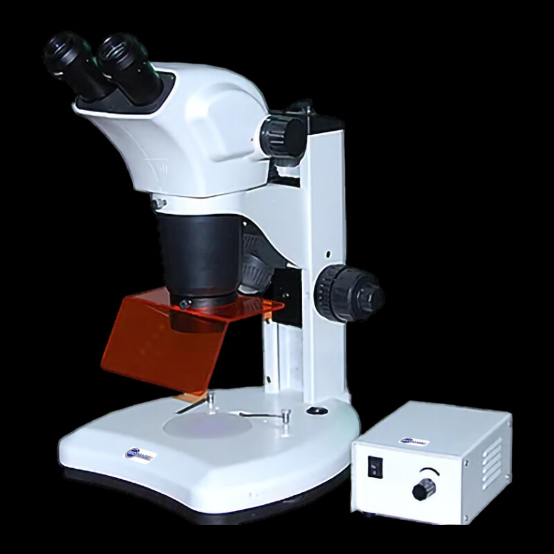BSM300FLL LED Epi-Fluorescence Stereo Microscope