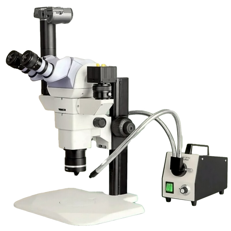 BSM700 Research Zoom Stereo Microscope