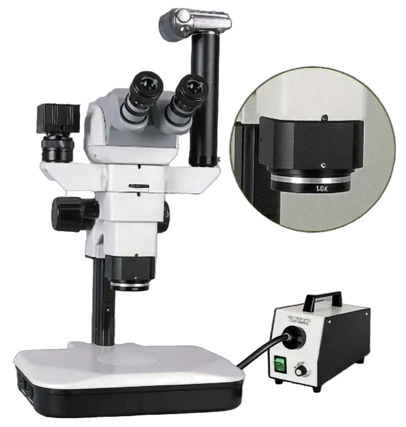 BSM700 Research Zoom Stereo Microscope - Image 4