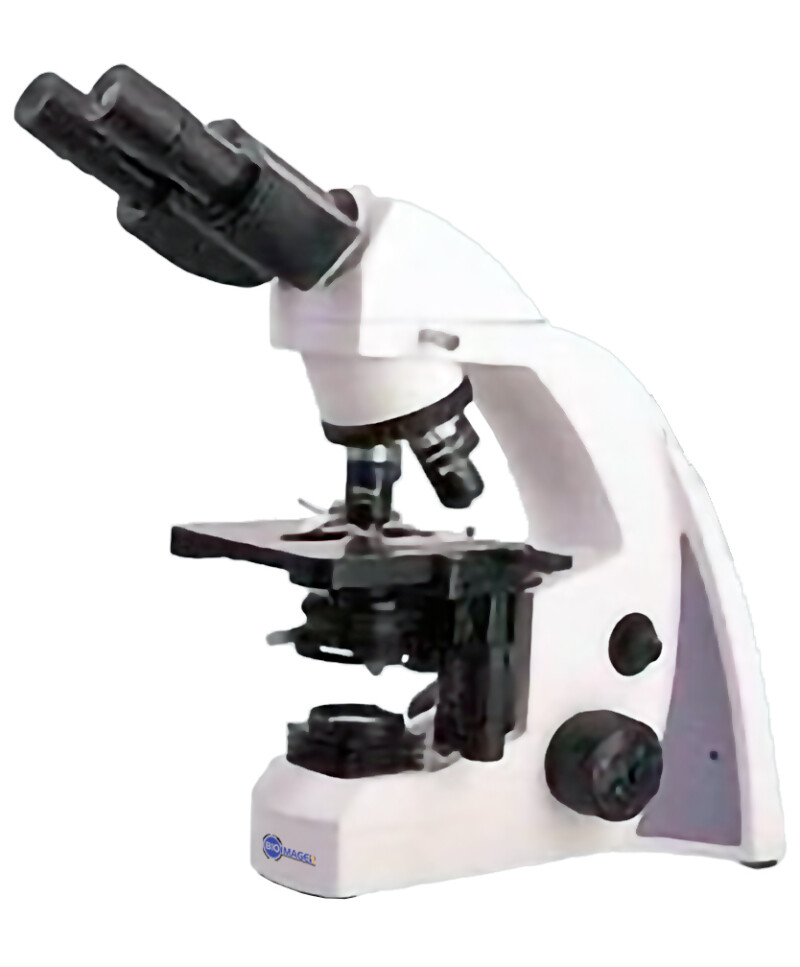 BUM240FL Biological LED Fluorescent Microscope