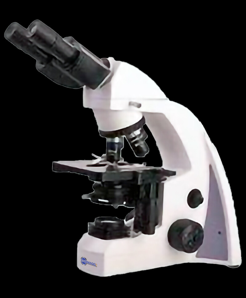 BUM240FL Biological LED Fluorescent Microscope - Image 4