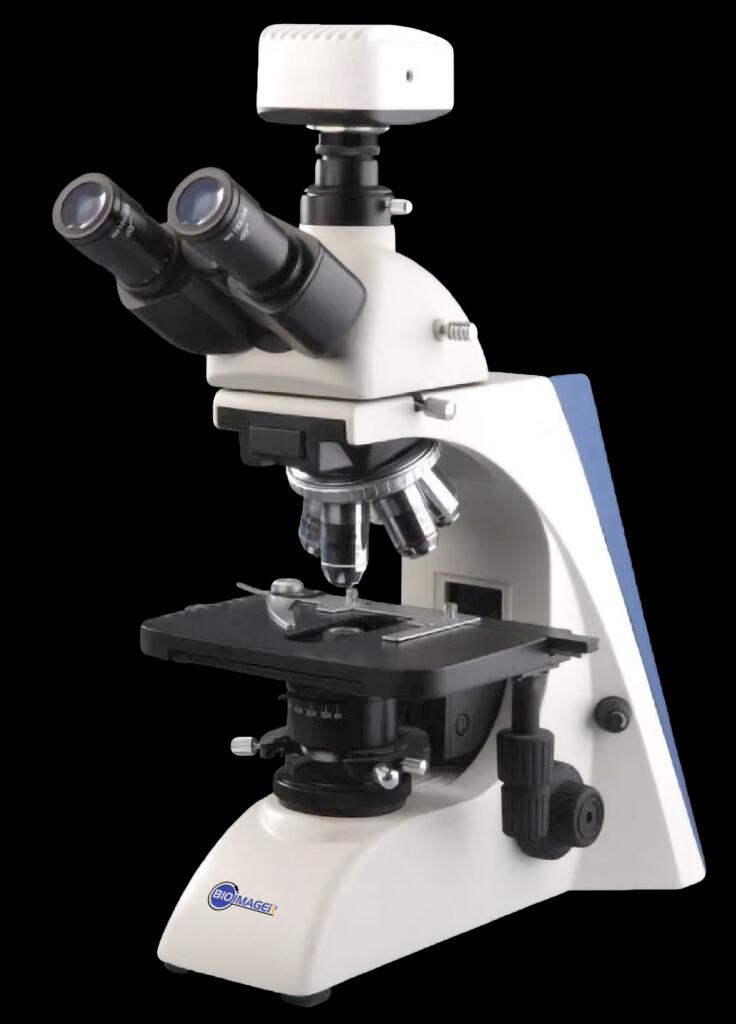 BUM400 Series Biological Microscope